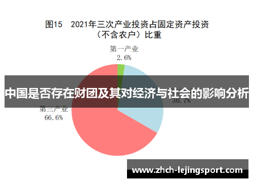 中国是否存在财团及其对经济与社会的影响分析